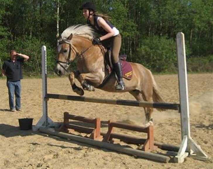 Haflinger Herta - 12) Mig og Herta springer  billede 11