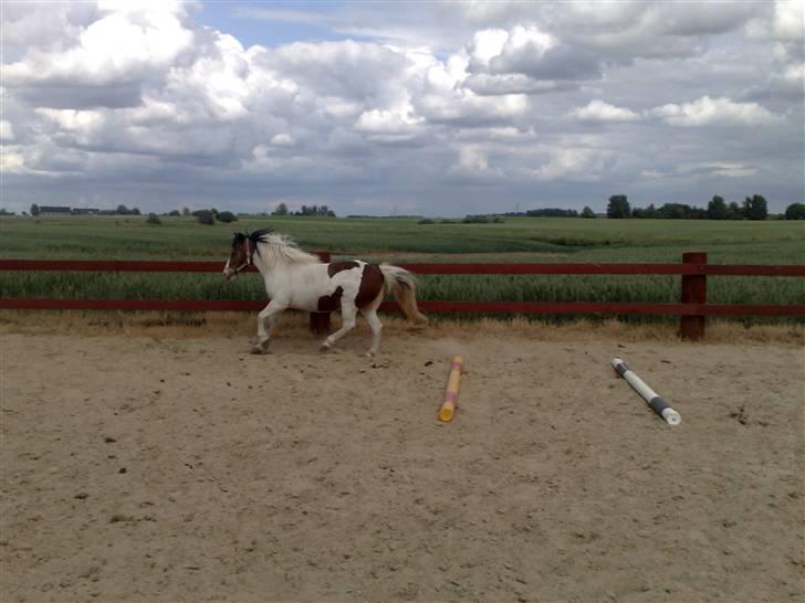 Anden særlig race #Wendy# - UHH. Du er bare My Love. XD billede 10