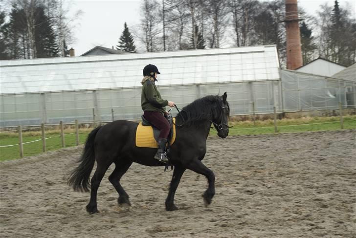 Frieser Uke Van Weerdenbras billede 11