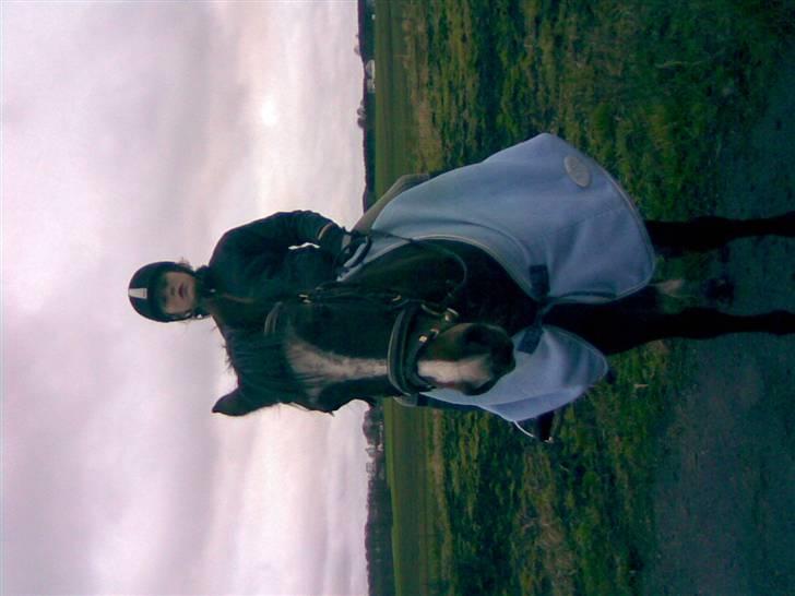 Connemara Mosegårdens Geena| - Dressur, for LANG tid siden [; Foto: Malene, Tak.. billede 3