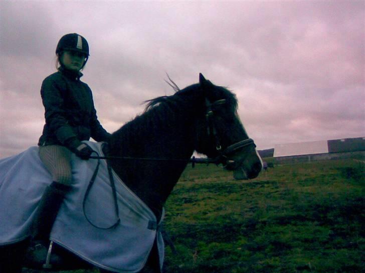 Connemara Mosegårdens Geena| - Dressur, for LANG tid siden [; Foto: Malene, Tak.. billede 6