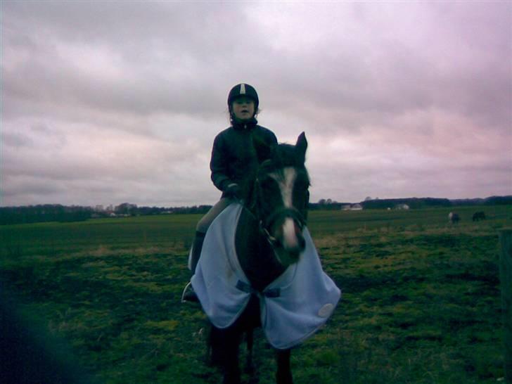 Connemara Mosegårdens Geena| - Dressur, for LANG tid siden [; Foto: Malene, Tak.. billede 7