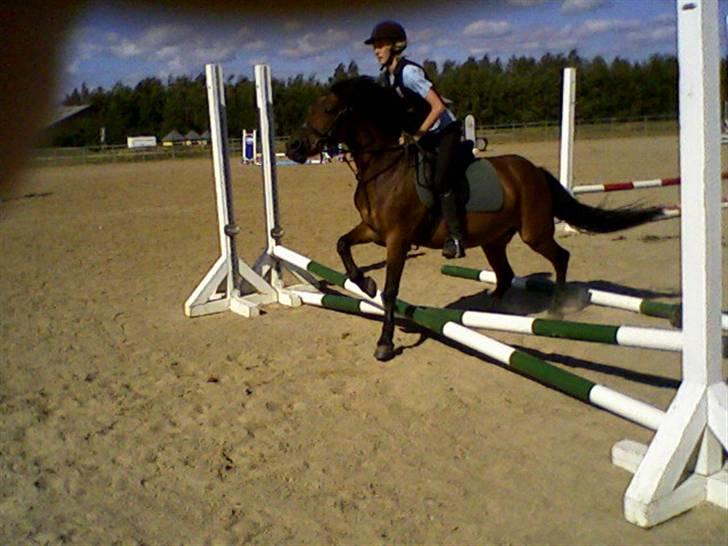 Anden særlig race Nixeline. billede 19