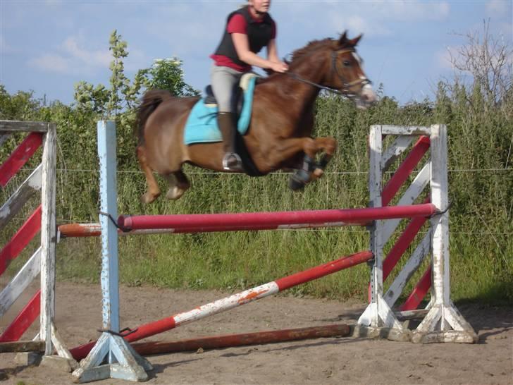 DSP Alibaba (SOLGT) billede 17