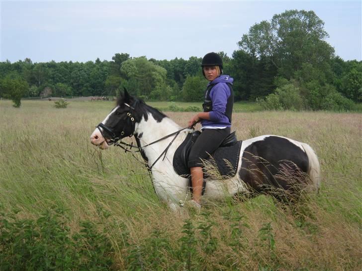 Anden særlig race Lucky Boy R.I.P :'( <3 - I skoven sommeren 2008 (Foto:Stefani)  billede 5