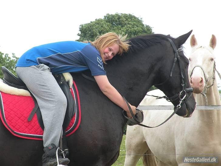 Dansk Varmblod Lady Hunter  - Velkommen! Et meget gamelt billede af mig og Hunter!<3 billede 1