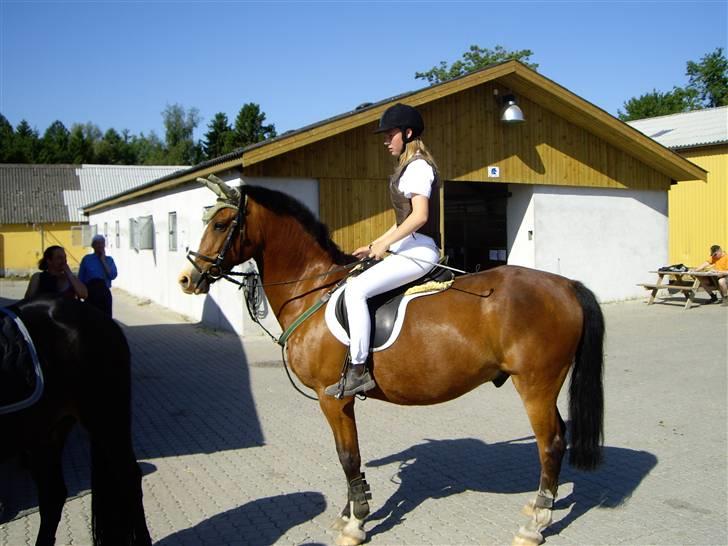 Anden særlig race Kimber - Fordi du er den dejligste hest i hele verden <´3 billede 1