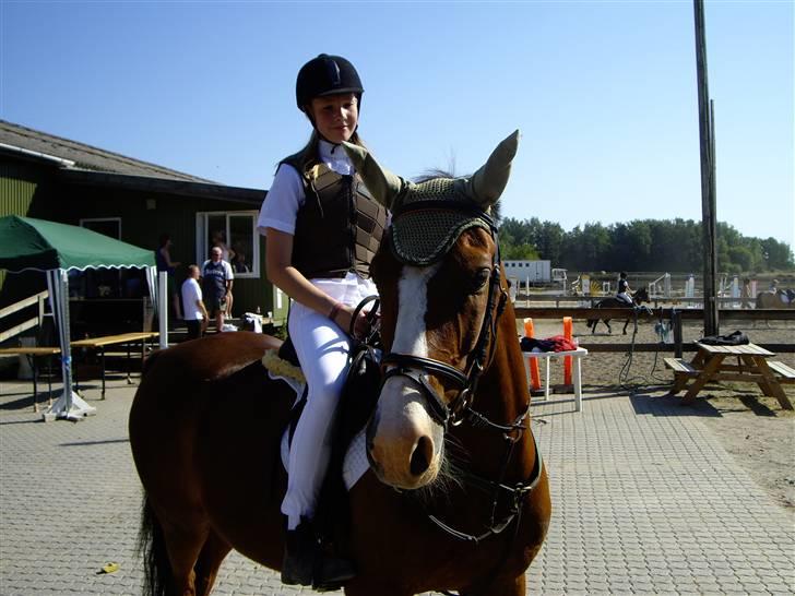 Anden særlig race Kimber - Fordi du er den mest opmærksomme hest jeg har kendt <´3 billede 3