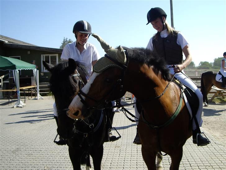 Anden særlig race Kimber - Fordi jeg elsker dig <´3 billede 4