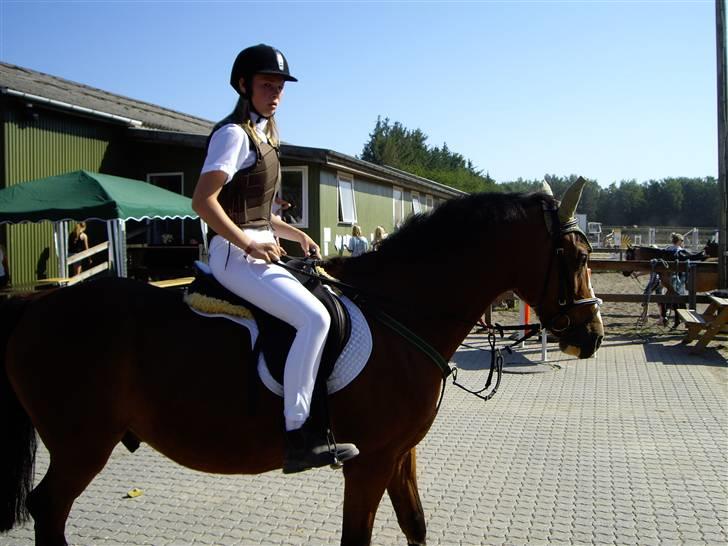 Anden særlig race Kimber - Fordi du er smuk <´3 billede 5