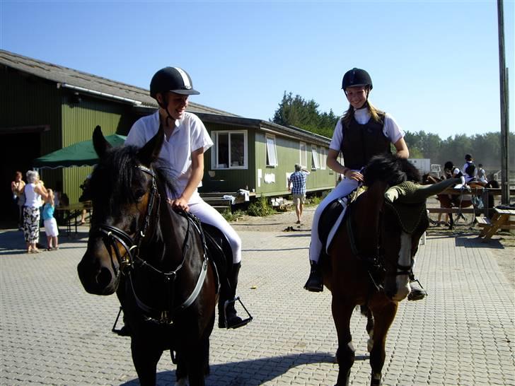 Anden særlig race Kimber - Fordi du er utålmodig <´3 billede 6