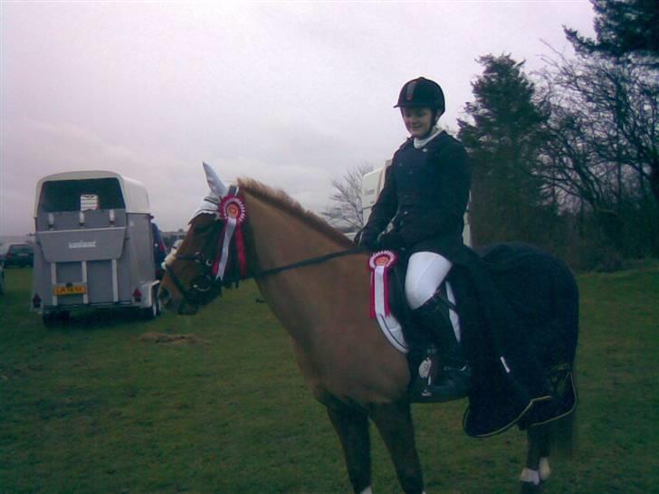 New Forest Pasha - Fordi du var sej! billede 4