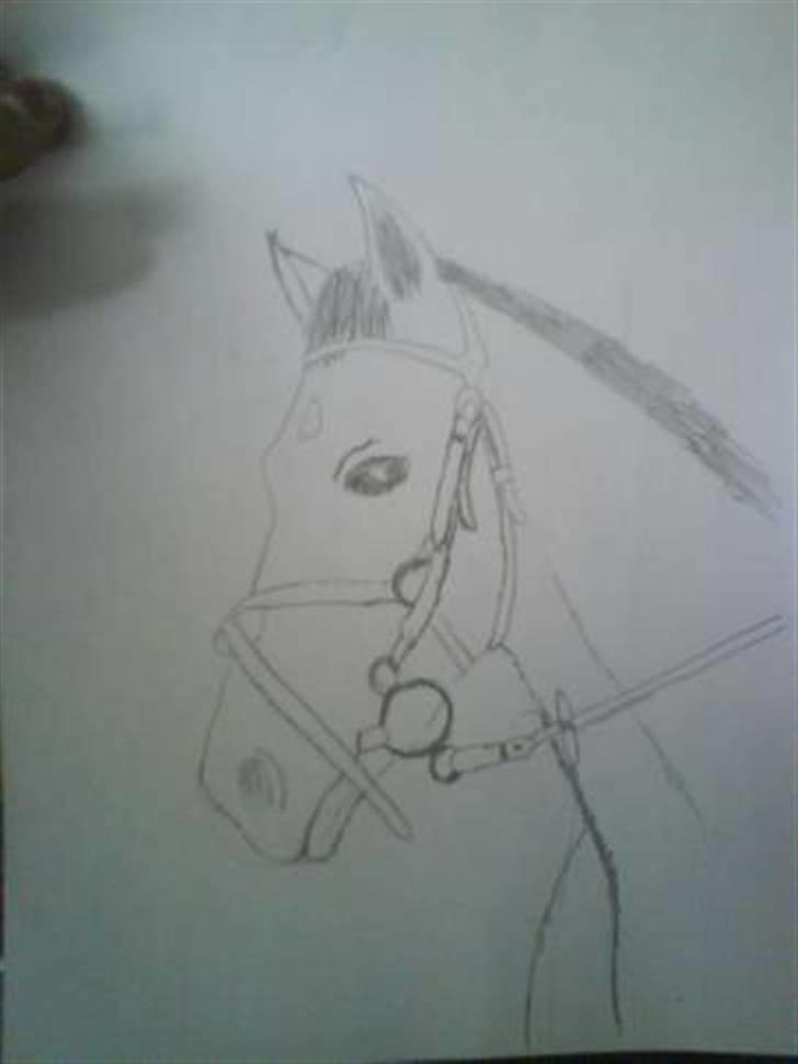 DSP Star(solgt)<3 - star tegnet af Emma og Bianca -  tusind tak heeh sådan kan hun også være flot<3 billede 19