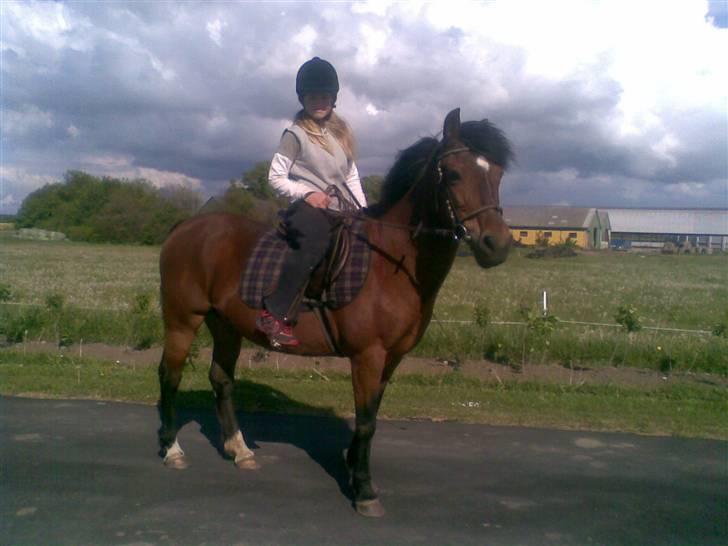 New Forest Starlight - Starlight og Heidi billede 13