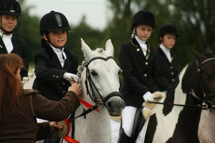 Anden særlig race Koh-I-Noor R.I.P - jeg får pramge kohi siger jeg kan ikke lide at i rører mine øre billede 14