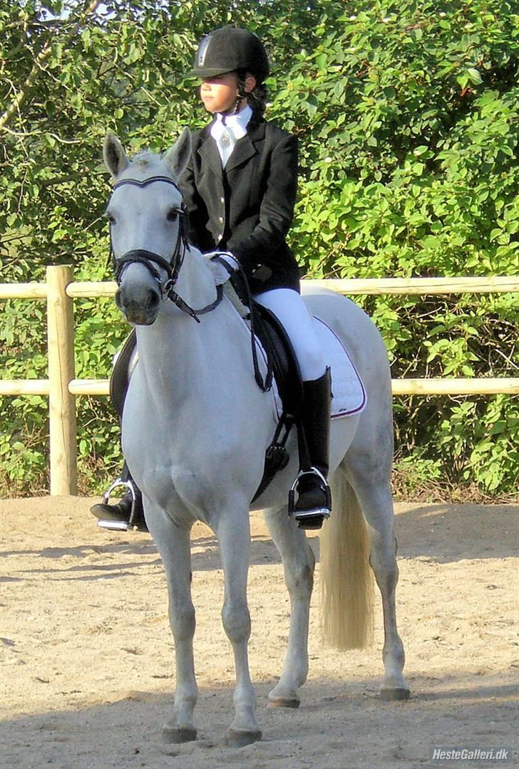 Anden særlig race Koh-I-Noor R.I.P - kohi<3 billede 17