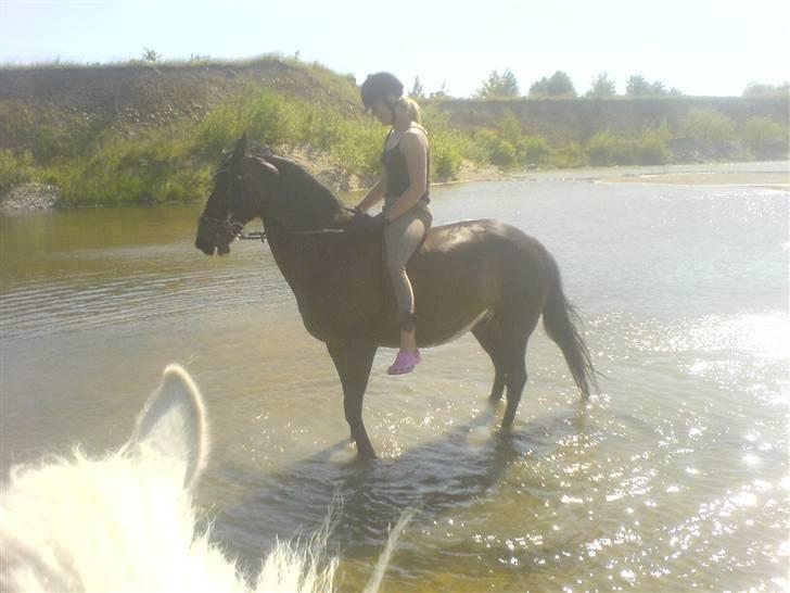 Anden særlig race Lukas ( min mors ) R.I.P. billede 14