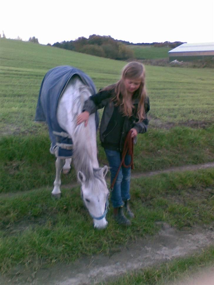Anden særlig race Koh-I-Noor R.I.P - mig og kohi billede 19