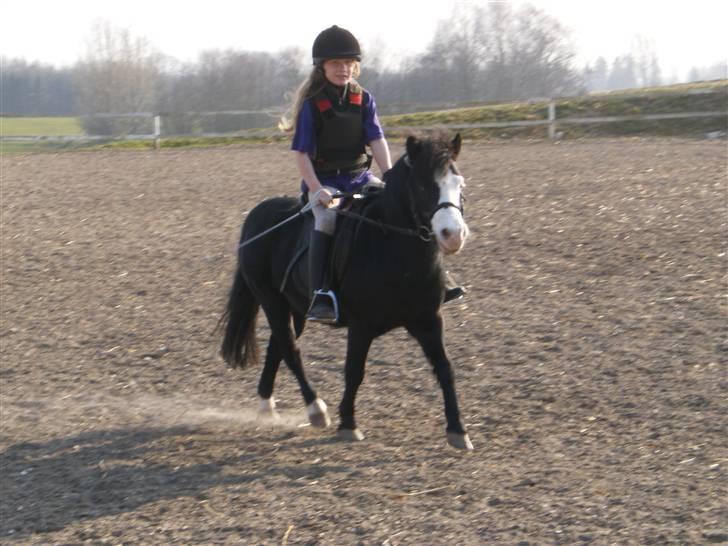 Anden særlig race Josefine (Død d 17-8-09) - emili og josefine 4-4-09 billede 16