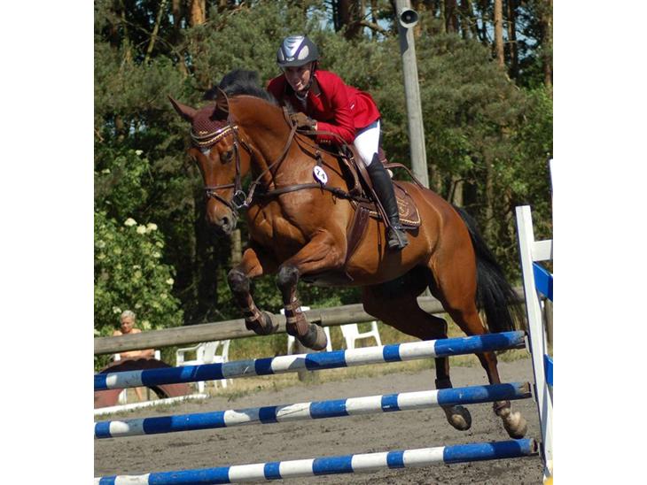 {{currentPhoto.altText}} billede {{currentPhoto.number}}