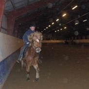 Islænder klarlar fra lipo