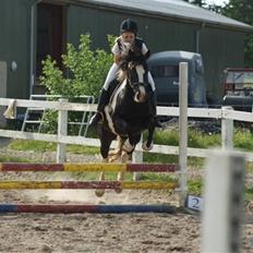 Anden særlig race Jessie *Solgt*