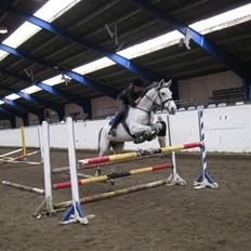 Anden særlig race Teilmandsmindes Sharocko 