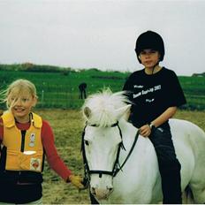 Anden særlig race Silver