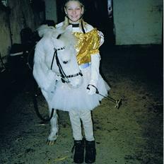 Anden særlig race Silver