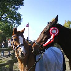 Anden særlig race Quick-step