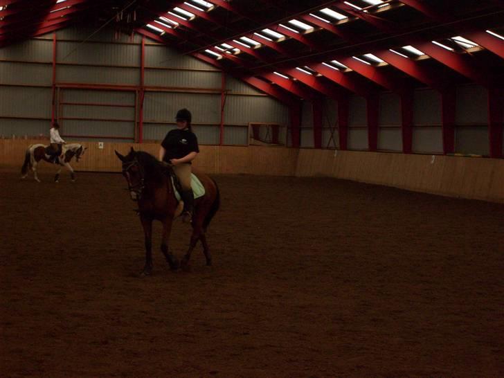 Traver Gi Vert *SOLGT* - Nyt 5/9-08 billede 4