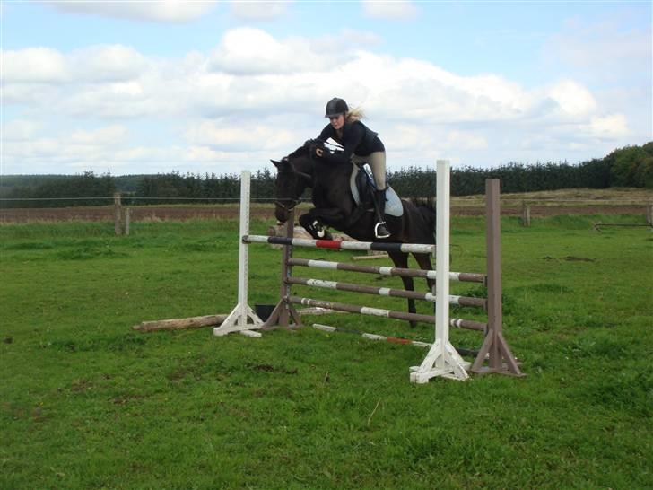 Anden særlig race skipper *Pensioneret - spring hos camilla, sommeren 2009 (:  billede 11