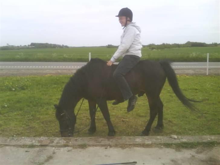 Anden særlig race misty min eneste ene:'( R.I.P :'( - min bror på mizty billede 9