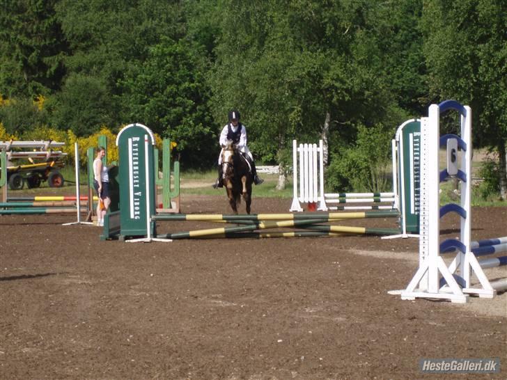 Anden særlig race Jamaica(red før sommer08) - LD :) wee Foto: Karoline billede 16