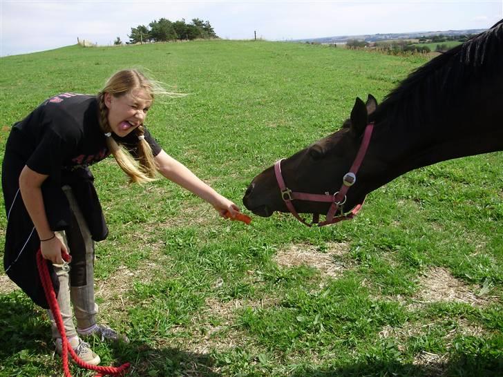 Anglo Araber (AA) Elicia - Girafen Elicia og ja mig der bare ser dum ud xD<3 billede 5