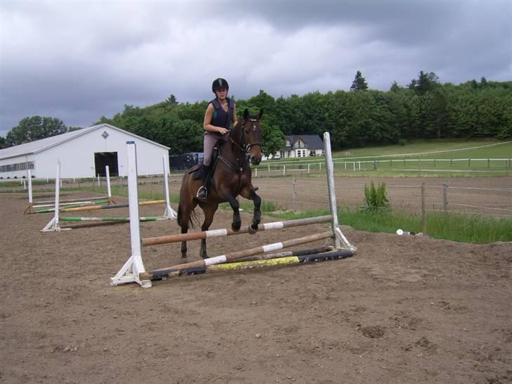 Anden særlig race Jamo - RIP 30/05 - 2011:'( billede 17