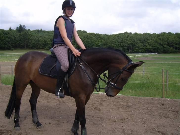 Anden særlig race Jamo - RIP 30/05 - 2011:'( billede 18