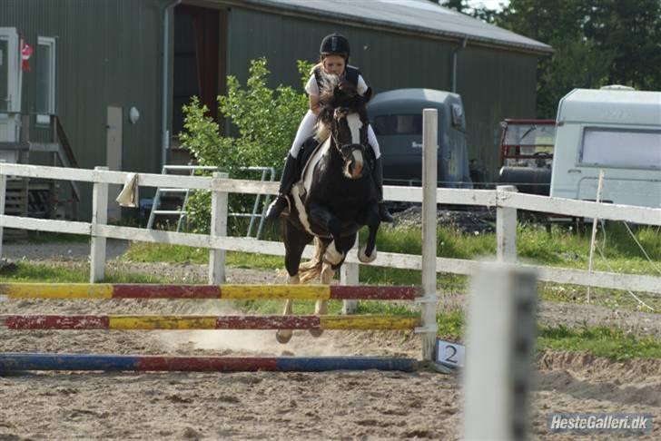 Anden særlig race Jessie *Solgt* - Velkommen til Mulle-Dulles profil (: <3  billede 1