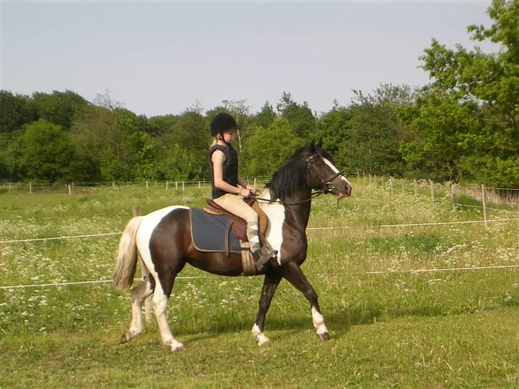Anden særlig race Jessie *Solgt* - Den allerførste gang jeg red hende, hvor hun var min helt egen pony <3 billede 4