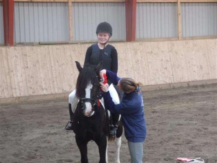 Anden særlig race Jessie *Solgt* - LB - 1. plads . (Trollemose ´08) billede 6