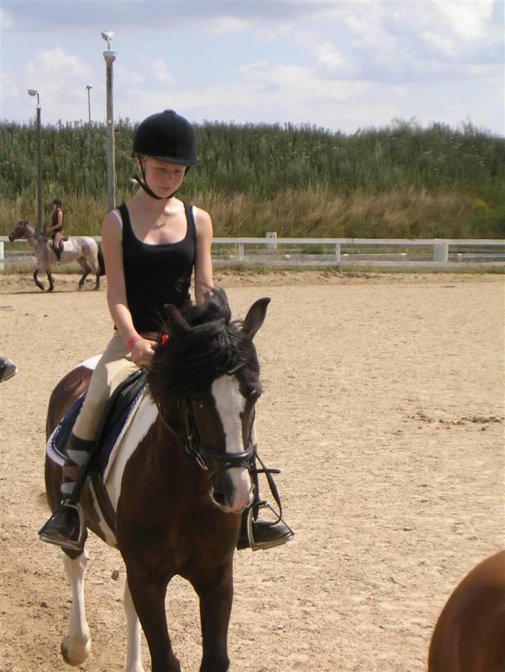 Anden særlig race Jessie *Solgt* - Elsker hende virkelig højt! billede 8