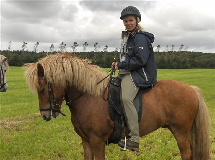 Islænder klarlar fra lipo billede 2