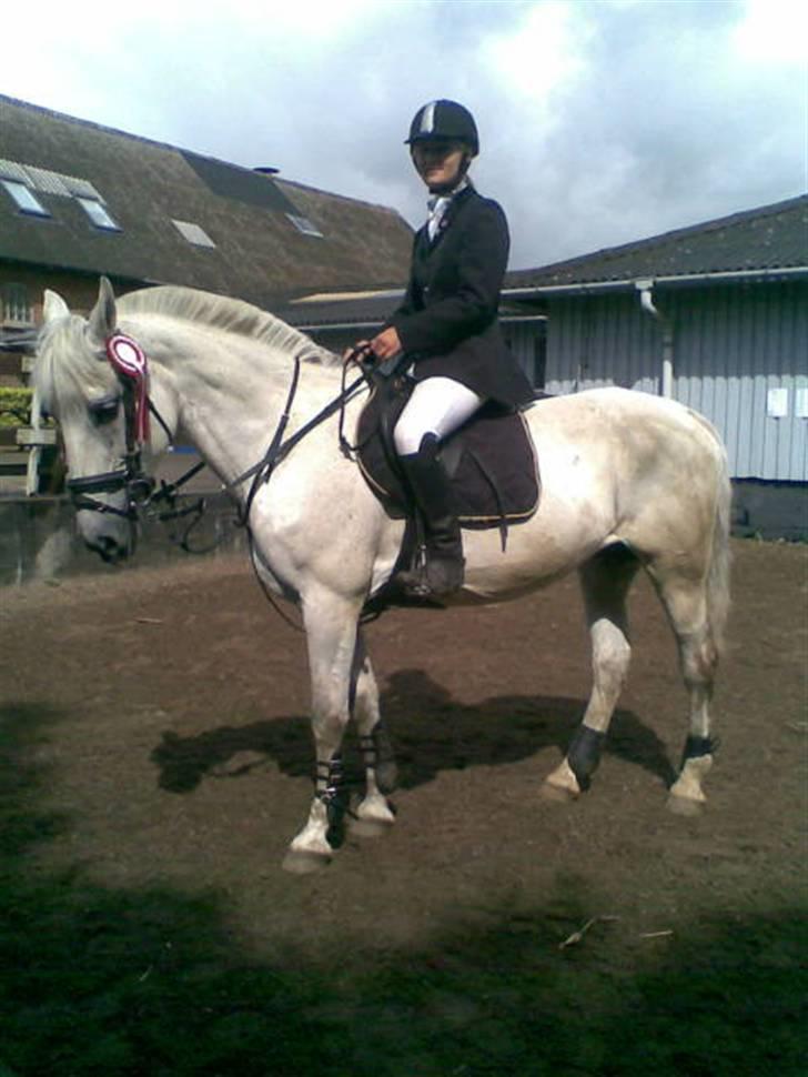 Anden særlig race Paula (Red) - Seje hest :D billede 2