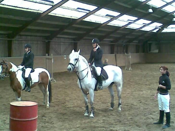 Anden særlig race Paula (Red) - 2. plads i LC ;) billede 3