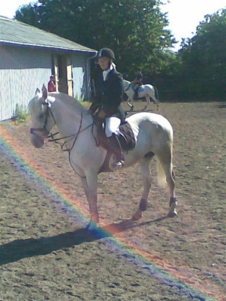 Anden særlig race Paula (Red) - fedt billed med regnbue :P billede 6
