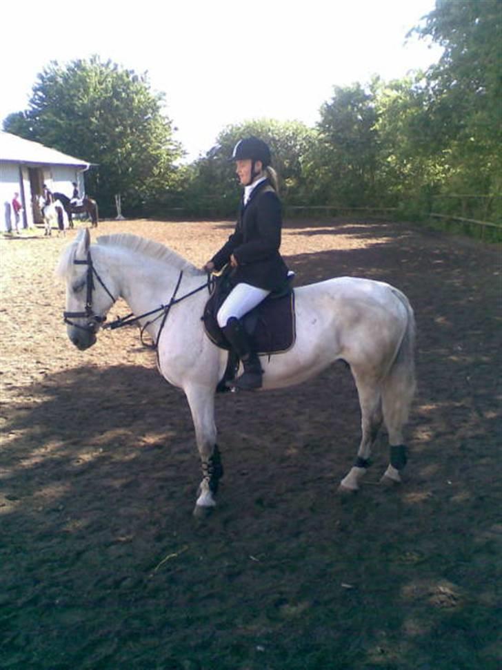 Anden særlig race Paula (Red) - smuksakken <3 billede 7