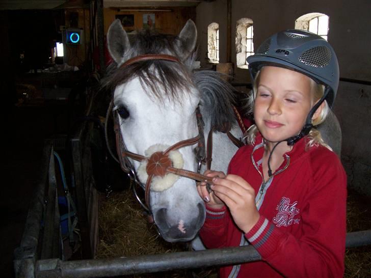 Welsh Pony (sec B) mikado - mig og mikado vi skal ud og ride  billede 9
