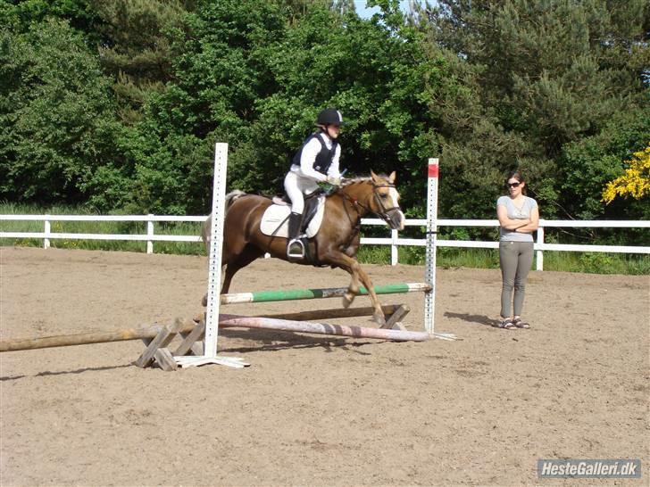 Anden særlig race Jamaica(red før sommer08) - opvarmning foto: hans billede 17