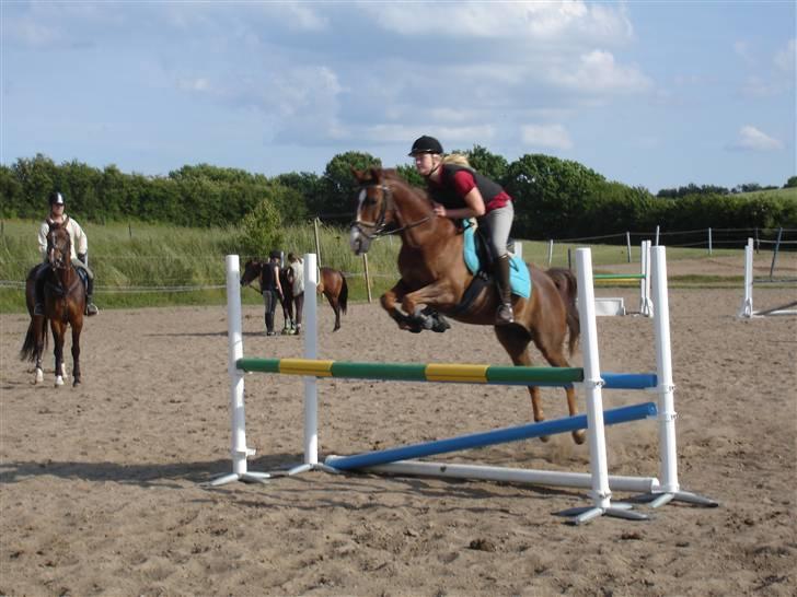 DSP Alibaba (SOLGT) billede 18