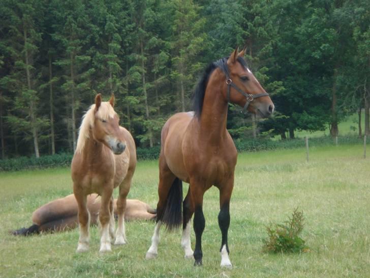 Oldenborg Neo UDLÅNT - FOTOMODELLERNE... billede 15